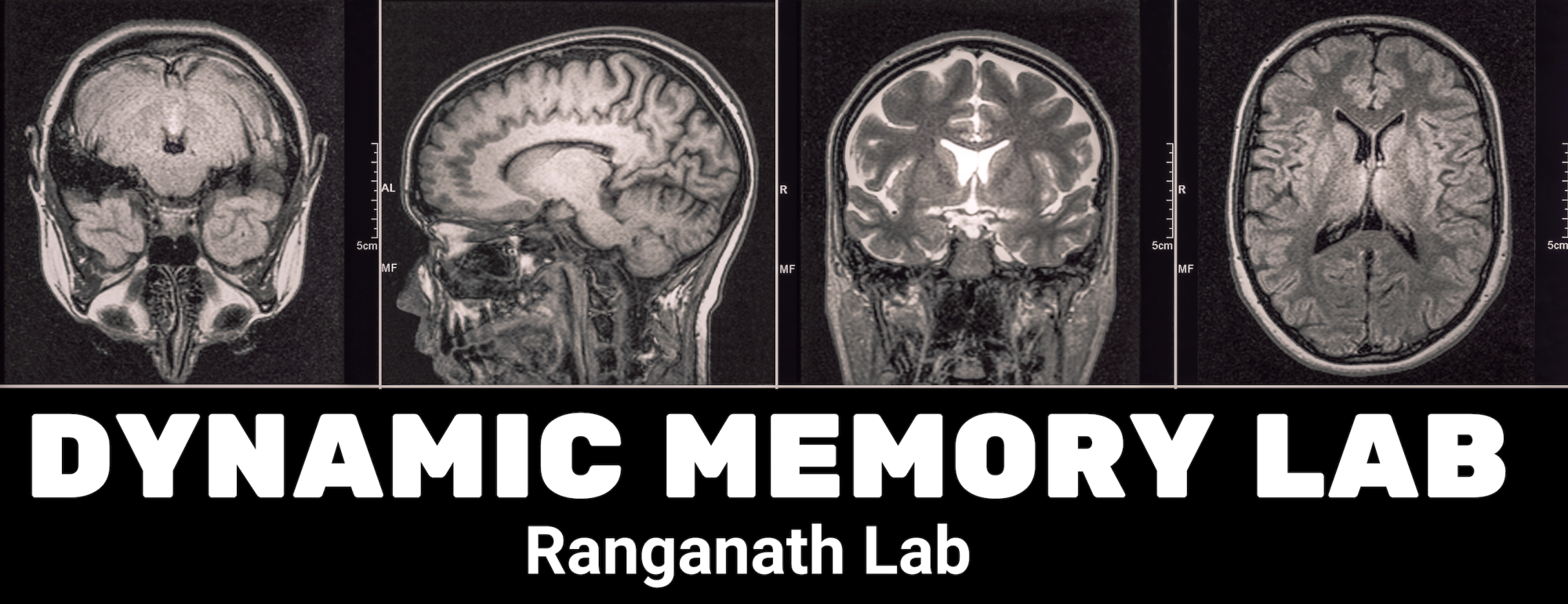 Dynamic Memory Lab banner listing the name of the lab and a graphic of brain scans. 